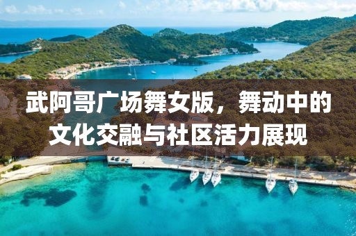 武阿哥广场舞女版，舞动中的文化交融与社区活力展现
