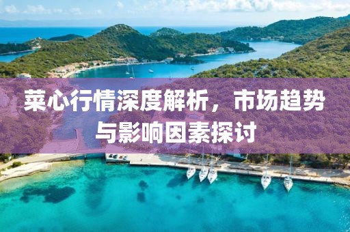 菜心行情深度解析，市场趋势与影响因素探讨
