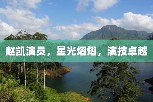 赵凯演员，星光熠熠，演技卓越