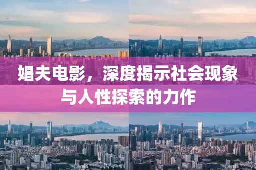 娼夫电影，深度揭示社会现象与人性探索的力作