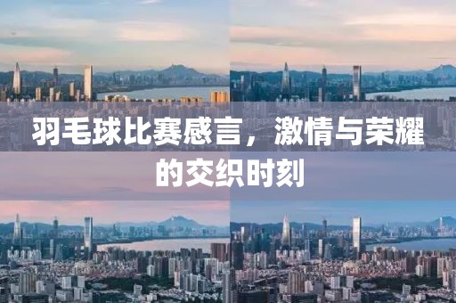 羽毛球比赛感言，激情与荣耀的交织时刻