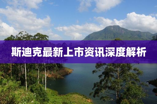 斯迪克最新上市资讯深度解析
