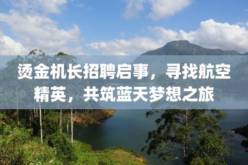 烫金机长招聘启事，寻找航空精英，共筑蓝天梦想之旅