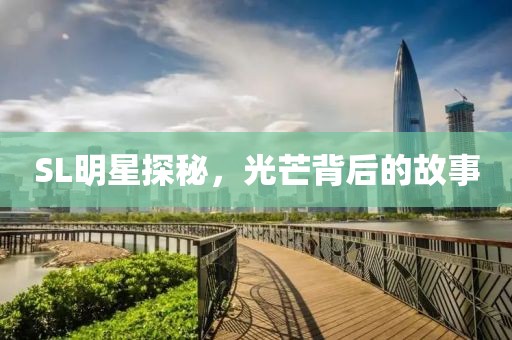 SL明星探秘，光芒背后的故事