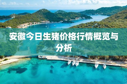 安徽今日生猪价格行情概览与分析