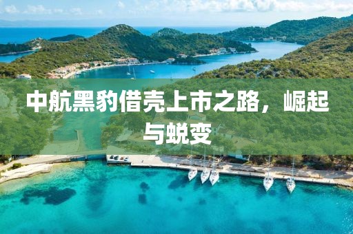中航黑豹借壳上市之路，崛起与蜕变