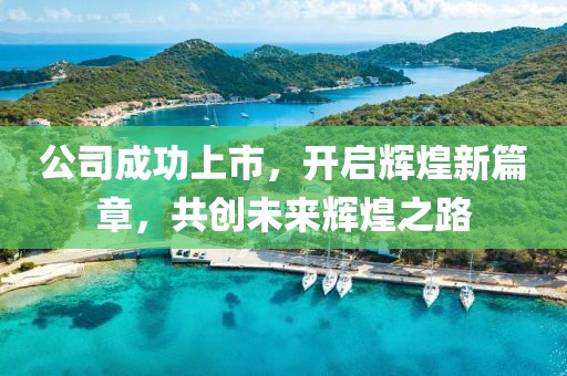 公司成功上市，开启辉煌新篇章，共创未来辉煌之路