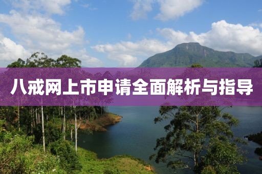 八戒网上市申请全面解析与指导