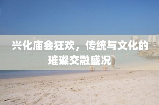兴化庙会狂欢，传统与文化的璀璨交融盛况