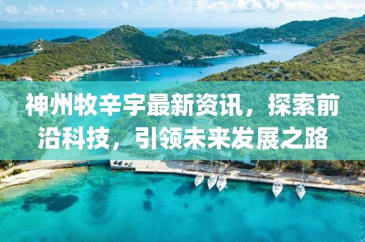 神州牧辛宇最新资讯，探索前沿科技，引领未来发展之路