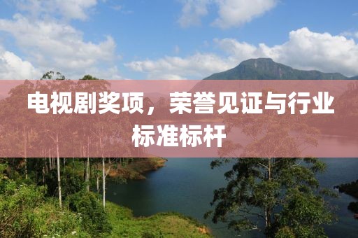 电视剧奖项，荣誉见证与行业标准标杆