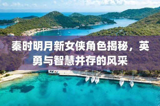秦时明月新女侠角色揭秘，英勇与智慧并存的风采