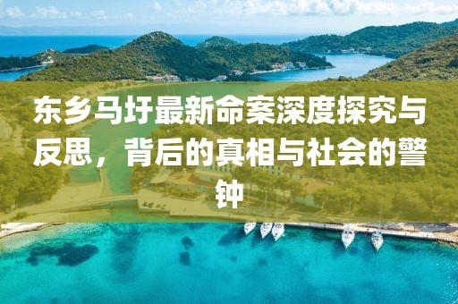 东乡马圩最新命案深度探究与反思，背后的真相与社会的警钟