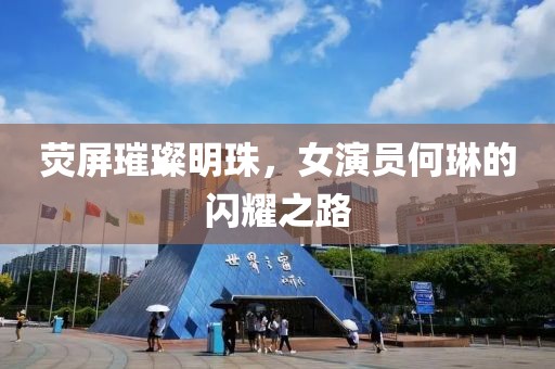 荧屏璀璨明珠，女演员何琳的闪耀之路