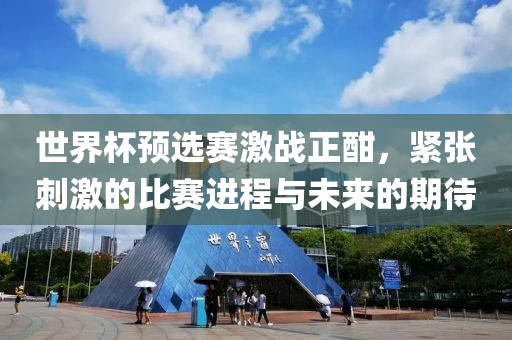 世界杯预选赛激战正酣，紧张刺激的比赛进程与未来的期待