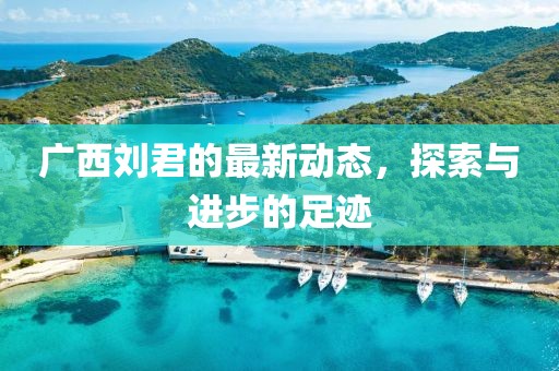 广西刘君的最新动态，探索与进步的足迹