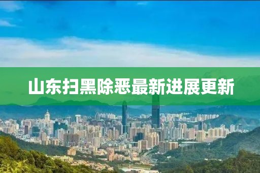 山东扫黑除恶最新进展更新