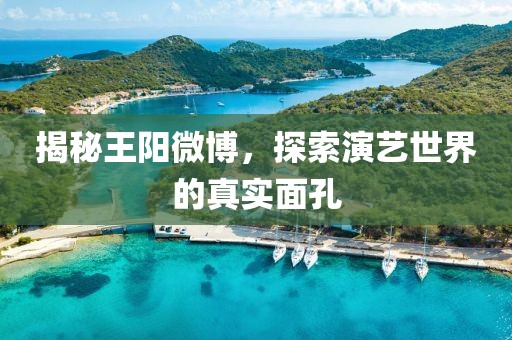 罌粟花开 第6页