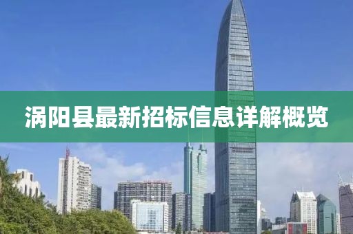 涡阳县最新招标信息详解概览