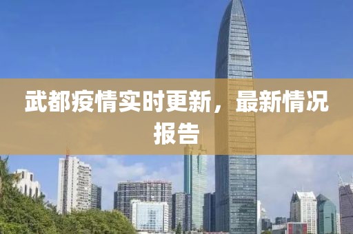 武都疫情实时更新，最新情况报告
