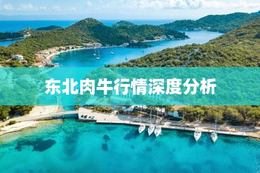 东北肉牛行情深度分析