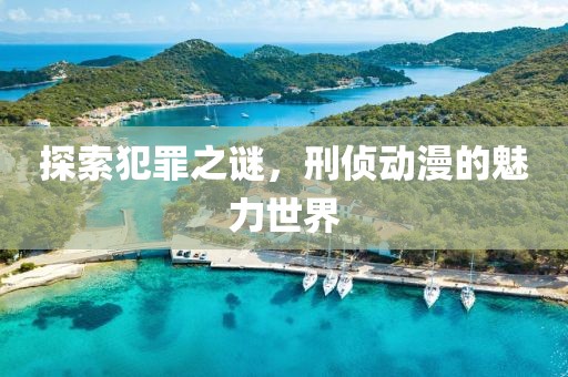 探索犯罪之谜，刑侦动漫的魅力世界