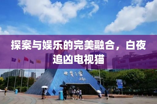探案与娱乐的完美融合，白夜追凶电视猫