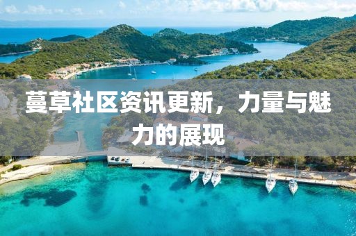 蔓草社区资讯更新，力量与魅力的展现