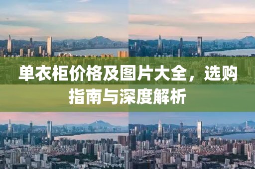 单衣柜价格及图片大全，选购指南与深度解析