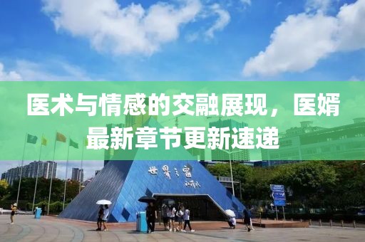 医术与情感的交融展现，医婿最新章节更新速递