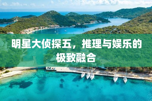 明星大侦探五，推理与娱乐的极致融合