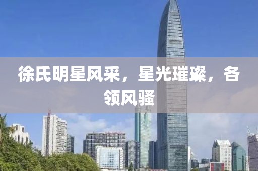 徐氏明星风采，星光璀璨，各领风骚