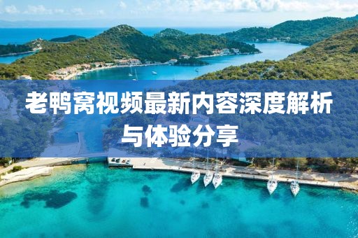 老鸭窝视频最新内容深度解析与体验分享