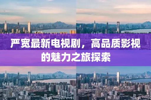 严宽最新电视剧，高品质影视的魅力之旅探索