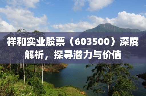 祥和实业股票（603500）深度解析，探寻潜力与价值