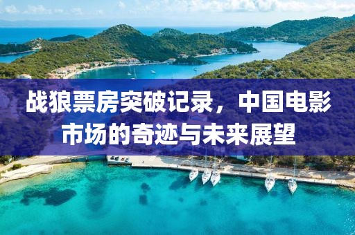 战狼票房突破记录，中国电影市场的奇迹与未来展望