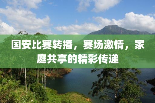 国安比赛转播，赛场激情，家庭共享的精彩传递