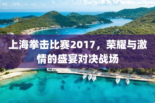 上海拳击比赛2017，荣耀与激情的盛宴对决战场