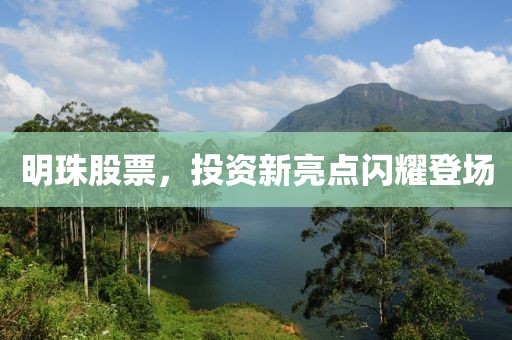 明珠股票，投资新亮点闪耀登场