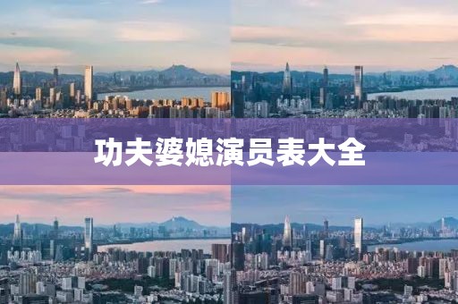 功夫婆媳演员表大全