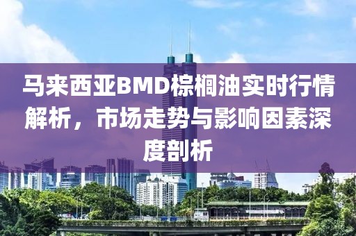 马来西亚BMD棕榈油实时行情解析，市场走势与影响因素深度剖析