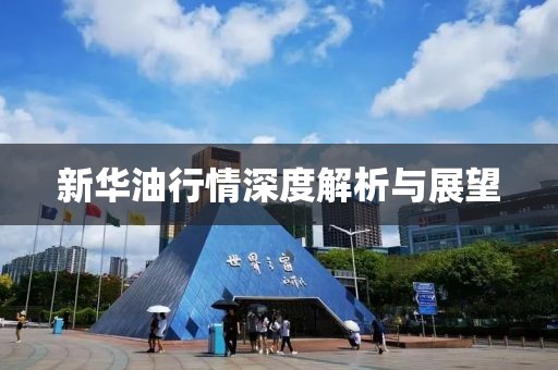 新华油行情深度解析与展望