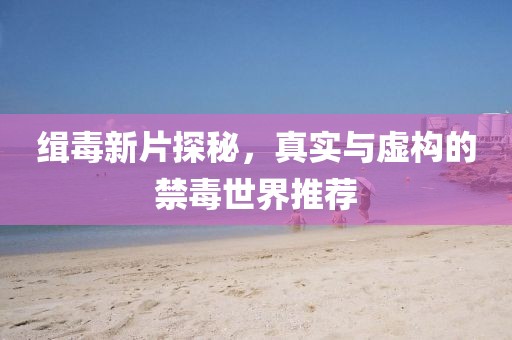 缉毒新片探秘，真实与虚构的禁毒世界推荐