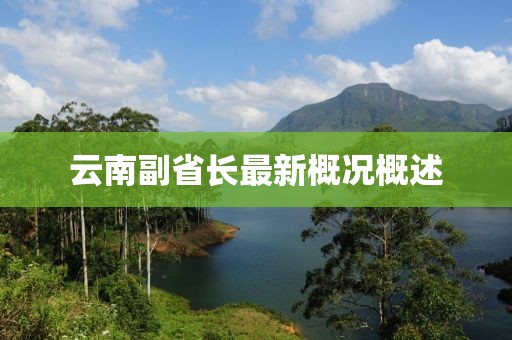 云南副省长最新概况概述