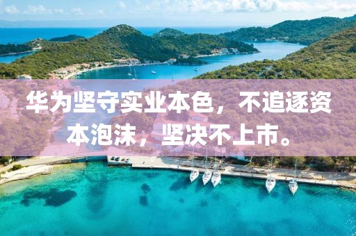 华为坚守实业本色，不追逐资本泡沫，坚决不上市。