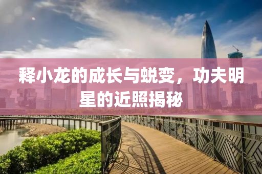 释小龙的成长与蜕变，功夫明星的近照揭秘