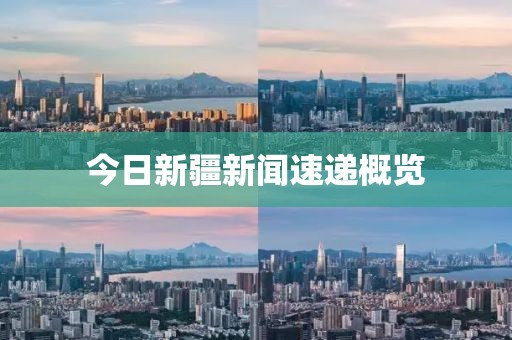今日新疆新闻速递概览