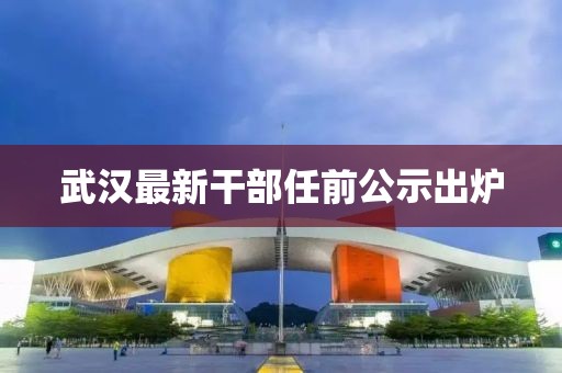 武汉最新干部任前公示出炉