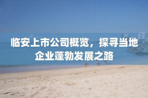 临安上市公司概览，探寻当地企业蓬勃发展之路