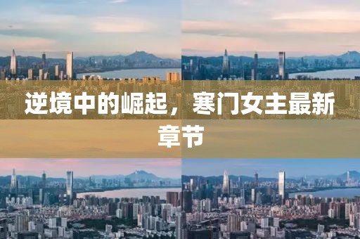 逆境中的崛起，寒门女主最新章节